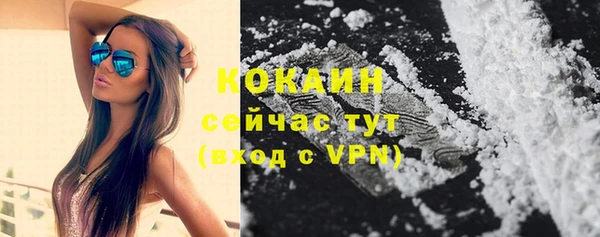 винт Баксан